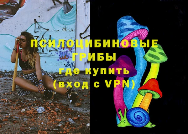 мдпв Зарайск