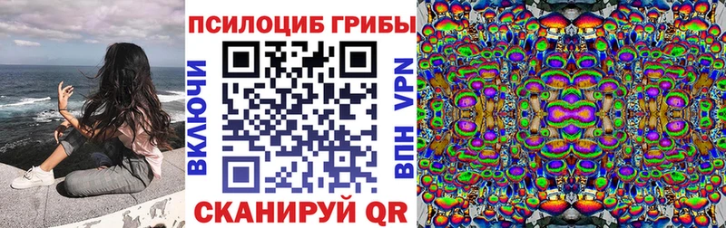 KRAKEN ТОР  Пустошка  Галлюциногенные грибы прущие грибы  купить  цена 